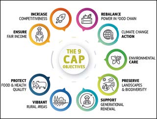 Figure 1 - Les 9 objectifs spécifiques de la PAC Post-2020