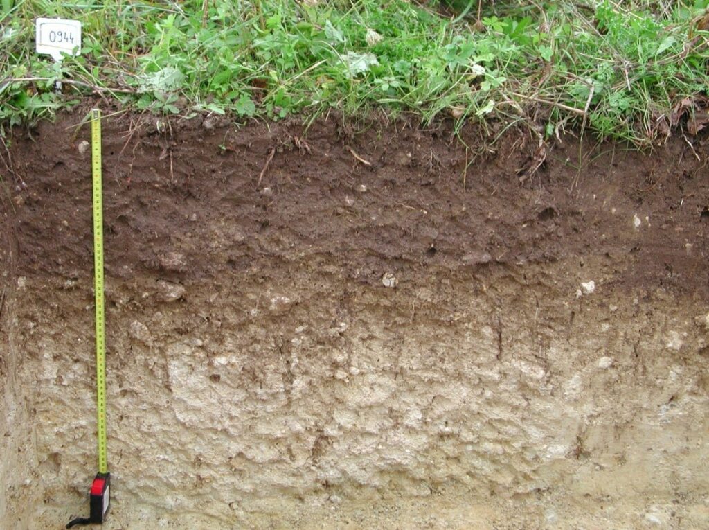 Coupe transversale montrant les différentes couches d’un sol
